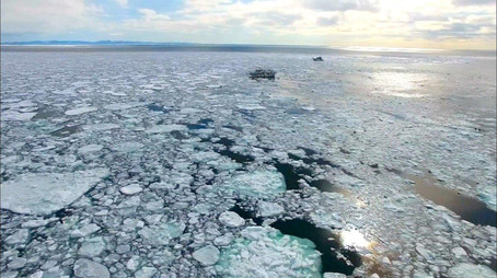 Wild Hokkaido! Сезон 2
