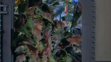 The Plant Man (1966) - Episode 12 poster and promotional image