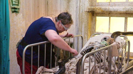 I'm a Celebrity...Get Me Out of Here! Сезон 18