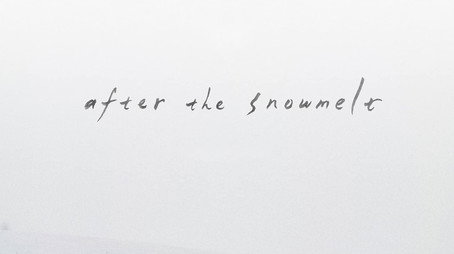 After the Snowmelt (2024) poster