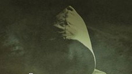 Season 6 (2022) - Season 6 poster and promotional image