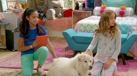 Who Let the Dogs In (2019) - Episode 2 poster and promotional image