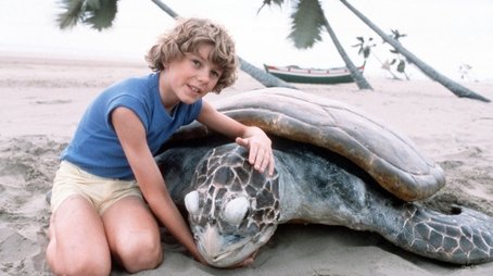 The Boy Who Talked with Animals (1981) - Episode 3 poster and promotional image