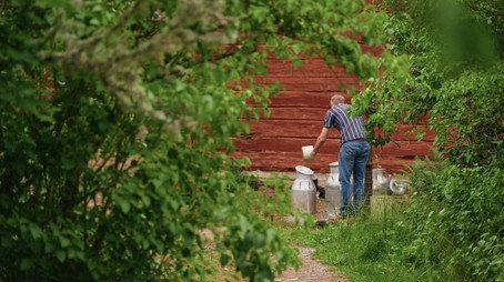 Farmen Сезон 19