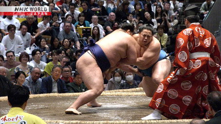 GRAND SUMO Highlights Сезон 35