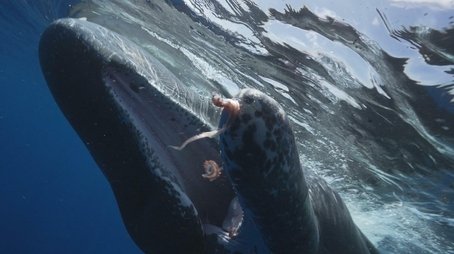 The Sperm Whales of Dominica; Monkey Island; Hanging On (2023) - Episode 15 poster and promotional image