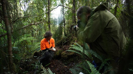Rare: Creatures of the Photo Ark Stagione 1
