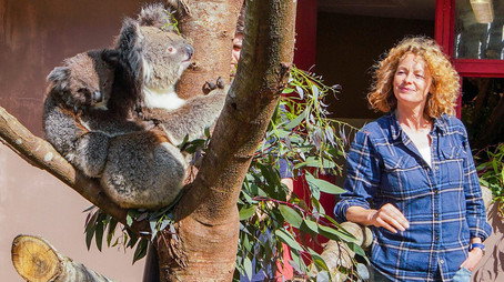 Animal Park Stagione 20