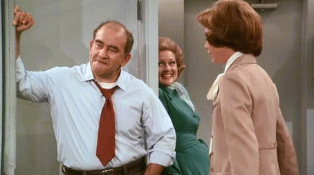 The Happy Homemaker Takes Lou Home (1975) - Episode 13 poster and promotional image