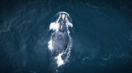 Whales (2025) - Episode 6 poster and promotional image