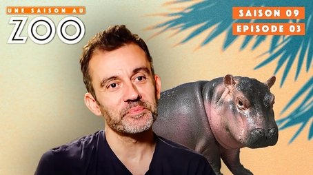 Episode 3 (2018) - Episode 3 poster and promotional image