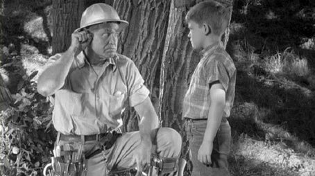 Mr. McBeevee (1962) - Episode 1 poster and promotional image