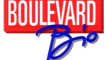 Boulevard Bio (1991) poster