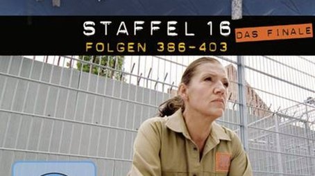 Season 16 (2006) - Season 16 poster and promotional image