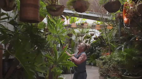 Episode 32 Potato, Migrant, Bakehouse, Eremophila & Minna (2022) - Episode 32 poster and promotional image