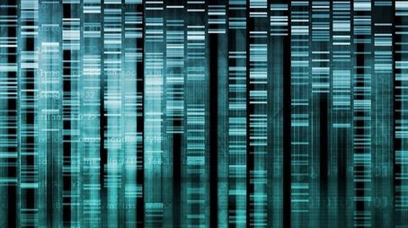Cracking Your Genetic Code (2012) - Episode 15 poster and promotional image