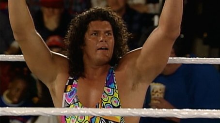December 27, 1993 - Raw #45 (1993) - Episode 45 poster and promotional image
