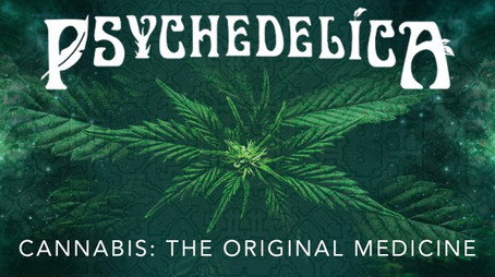 Psychedelica Сезон 1