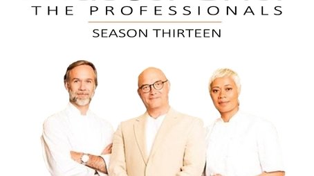 Series 13 (2017) - Season 13 poster and promotional image