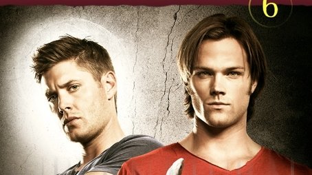 Season 6 (2010) - Season 6 poster and promotional image