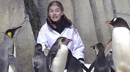 Zoos (1997) - Episode 4 poster and promotional image