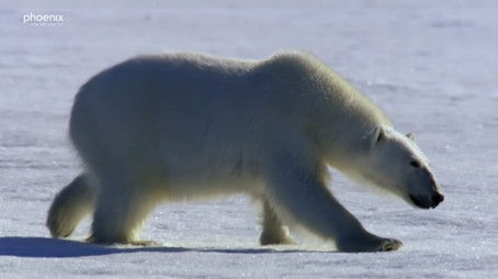 Episode 372 (2021) - Episode 372 poster and promotional image