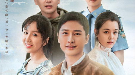 高兴的酸甜苦辣 (2020) poster