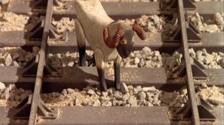 Baa!