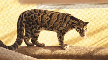 Secrets of the Zoo: Tampa Stagione 4