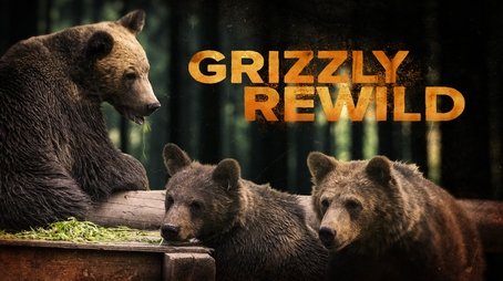 Grizzly Rewild (2023) - Episode 8 poster and promotional image