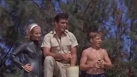 Flipper Joins the Navy (1) (1966) - Episode 25 poster and promotional image