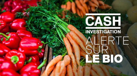 Cash Investigation Сезон 11