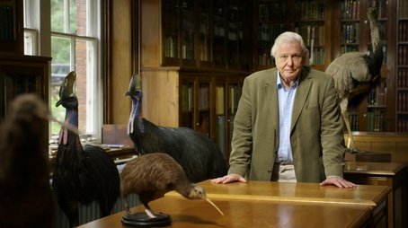 Attenborough's Big Birds (2015) - Episode 6 poster and promotional image