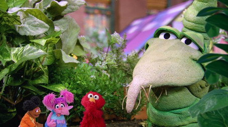 Улица Сезам Сезон 55