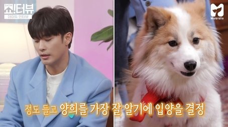 The date with Korean Wave star Sung Hoon (feat. Yang Hee)! (2021) - Episode 36 poster and promotional image