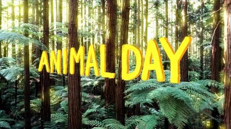 Animal Day