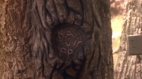 Whose Woods Are These? (1989) - Episode 16 poster and promotional image