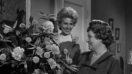 Hazel's Secret Wish (1962) - Episode 18 poster and promotional image