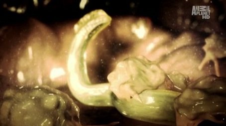 Homegrown Enemies (2010) - Episode 9 poster and promotional image