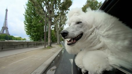 Pets: Wild At Heart: Secretive Creatures (2015) - Episode 6 poster and promotional image