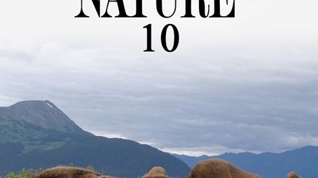 Season 10 (1991) - Season 10 poster and promotional image