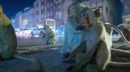 Sleepless Cities (2020) - Episode 5 poster and promotional image