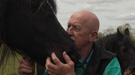 How Now Downed Cow? (2011) - Episode 2 poster and promotional image