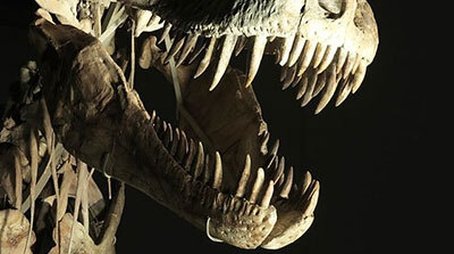 Dinosaurs: The Hunt for Life (2013) - Episode 3 poster and promotional image
