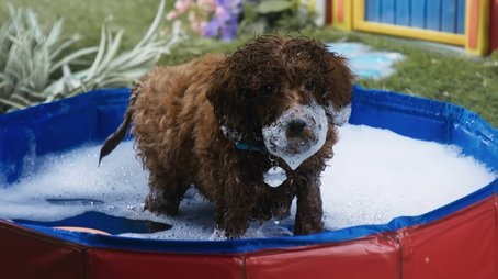 Bath Time (2023) - Episode 11 poster and promotional image