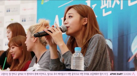 에이핑크 다이어리 Сезон 2