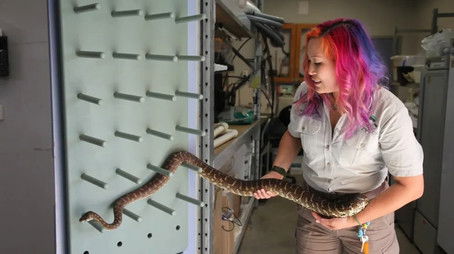 Feeding the Zoo (2022) - Episode 6 poster and promotional image