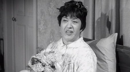 The Courtship of Sylvia Schnauser (1962) - Episode 27 poster and promotional image