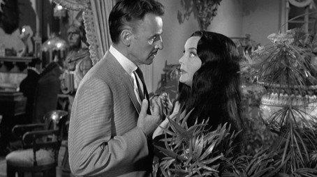 La famiglia Addams Stagione 1