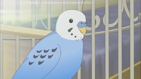 Chuubyou Gekihatsu Boy12